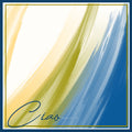 Isola Brush Silk Scarf - Resort 25’